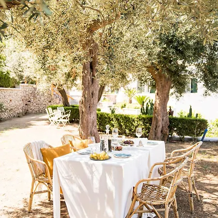 بيت ضيافة Amira Capri 4*